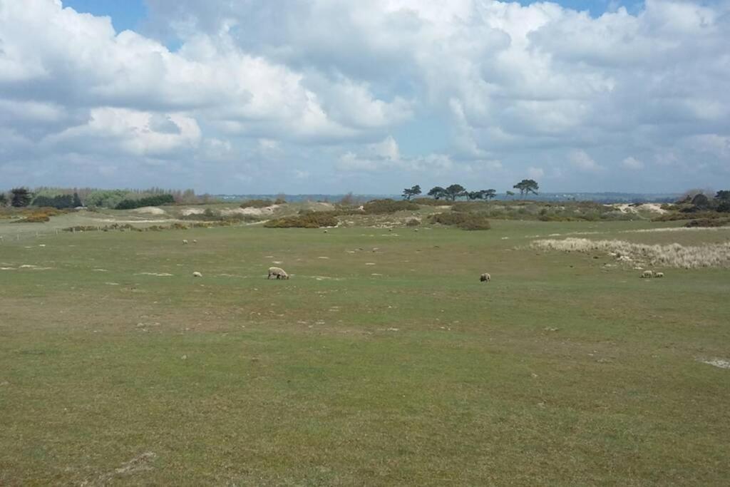 Gite Ouest De La Pointe D'Agon Bagian luar foto