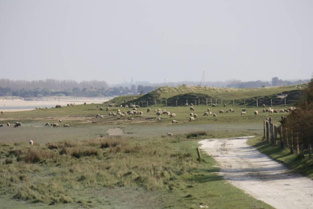 Gite Ouest De La Pointe D'Agon Bagian luar foto